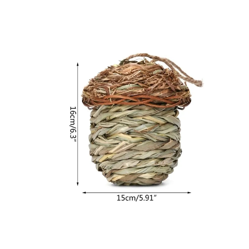 Dm Prime Fenix Loja de produtos para passaros - Casinha De Passarinho Ecológica Para Parques E Áreas Verdes - Casa de Passarinhos - 1 - Casa de Passarinhos Artesanal tamanhos 16cm-15cm.