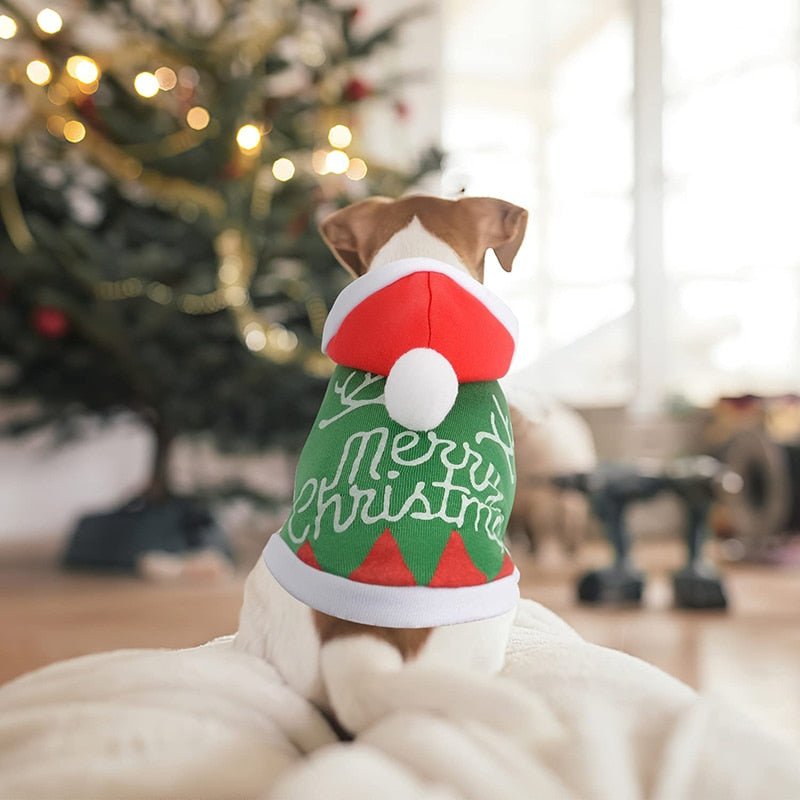 Blusa estilo natalino verde e vermelho para pets.