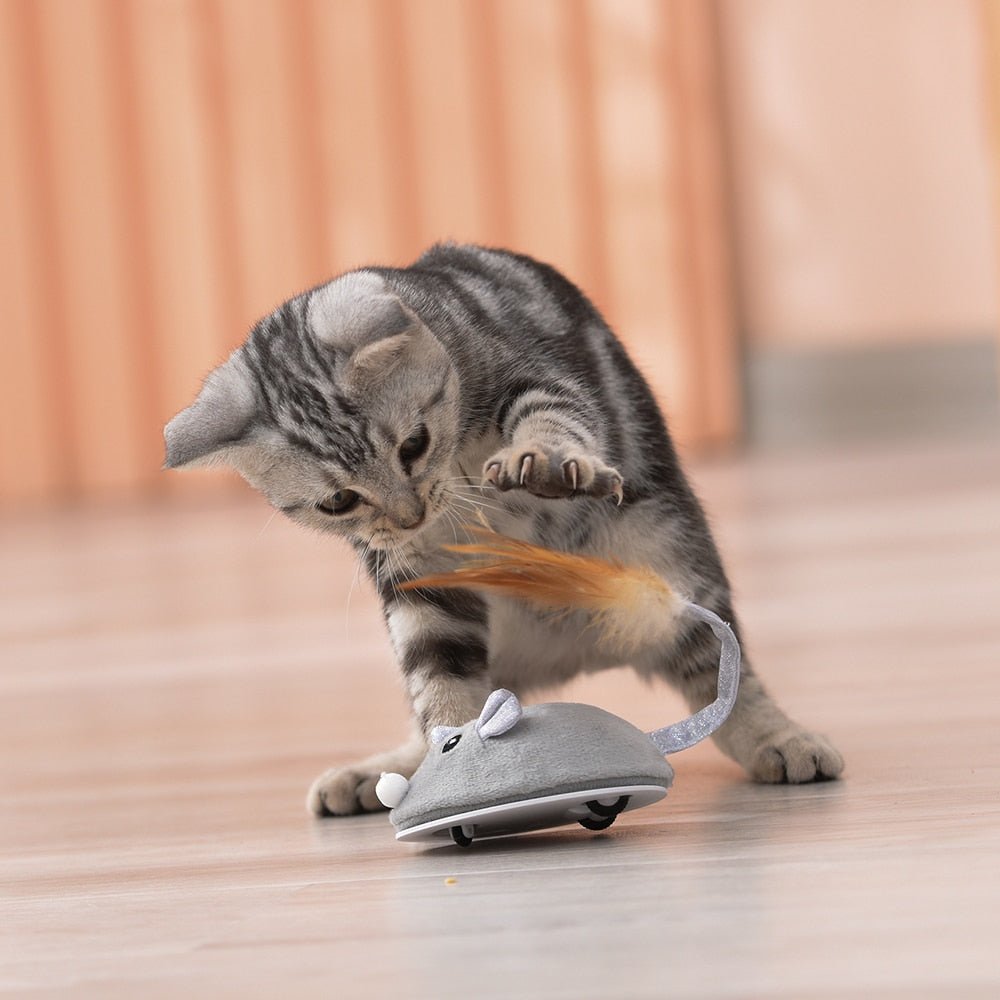 Dm Prime Fenix Loja de produtos para gato e cachorro - Brinquedo Para Gatos Em Formato De Rato - Brinquedo para gatos em formato de rato que promove atividade física