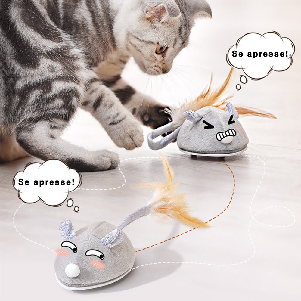 Dm Prime Fenix Loja de produtos para gato e cachorro - Brinquedo Para Gatos Em Formato De Rato - Brinquedo para gatos em formato de rato que promove atividade física
