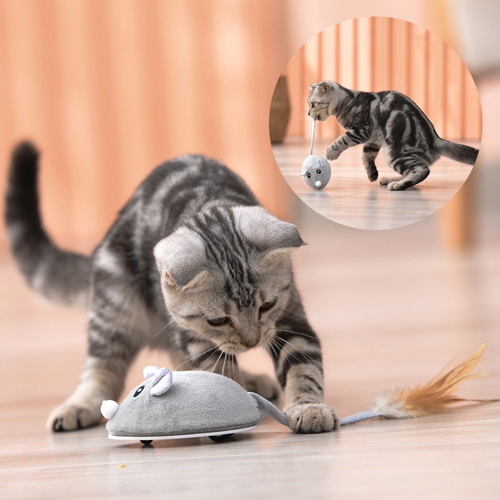 Dm Prime Fenix Loja de produtos para gato e cachorro - Brinquedo Para Gatos Em Formato De Rato - Brinquedo para gatos em formato de rato que promove atividade física