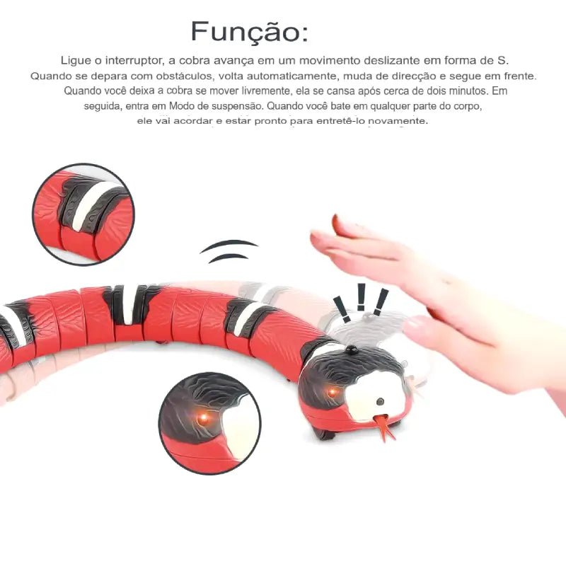 Dm Prime Fenix Loja de produtos para gato e cachorro - Cobra Eletrônica Para Simulação De Caça Para Gatos - Cobra Eletrônica Para Simulação De Caça Para Gatos