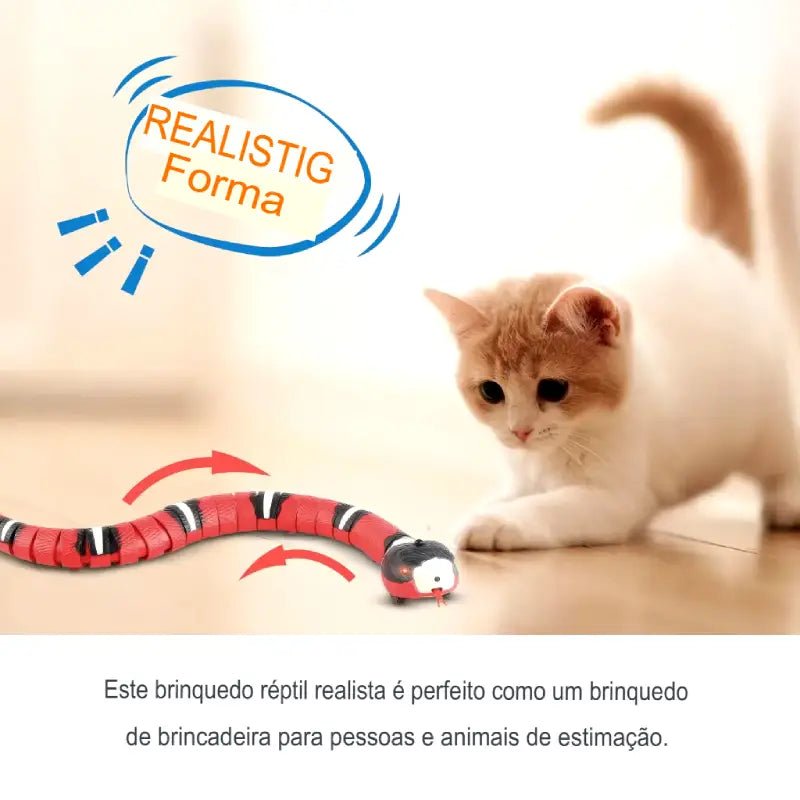 Dm Prime Fenix Loja de produtos para gato e cachorro - Cobra Eletrônica Para Simulação De Caça Para Gatos - Cobra Eletrônica Para Simulação De Caça Para Gatos