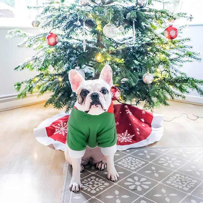 Blusa natalina verde e vermelho confortável para pets pequenos e médios com design festivo.