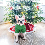 Blusa natalina verde e vermelho confortável para pets pequenos e médios com design festivo.