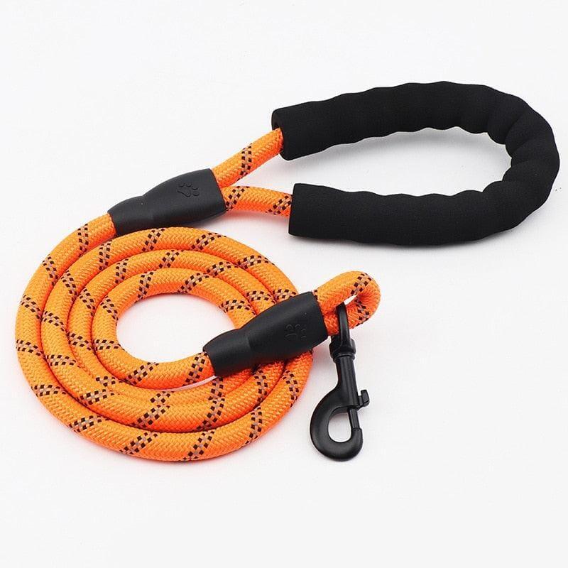 Dm Prime Fenix Loja de produtos para gato e cachorro - Guia Retratil Para Cachorro Emborrachada - Laranja - 1.5M - Guia para Cachorro Emborrachada