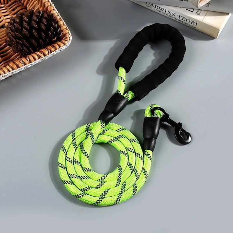 Dm Prime Fenix Loja de produtos para gato e cachorro - Guia Retratil Para Cachorro Emborrachada - Verde - 1.5M - Guia para Cachorro Emborrachada