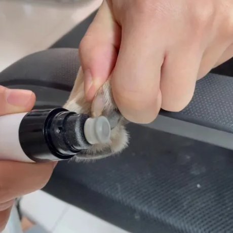 Dm Prime Fenix Loja de produtos para gato e cachorro - Lixador de Unhas Pet Para Cachorro e Gato - Lixador de Unhas Pet Para Cachorro e Gato