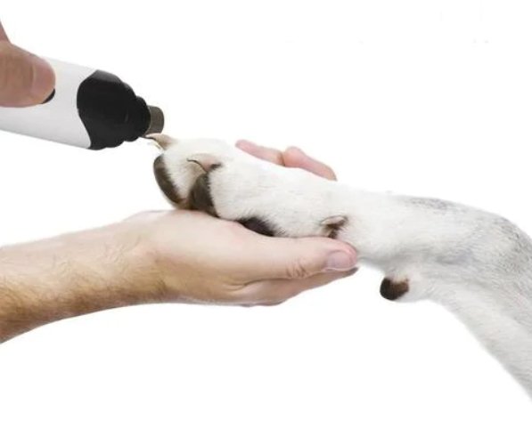 Dm Prime Fenix Loja de produtos para gato e cachorro - Lixador de Unhas Pet Para Cachorro e Gato - Lixador de Unhas Pet Para Cachorro e Gato