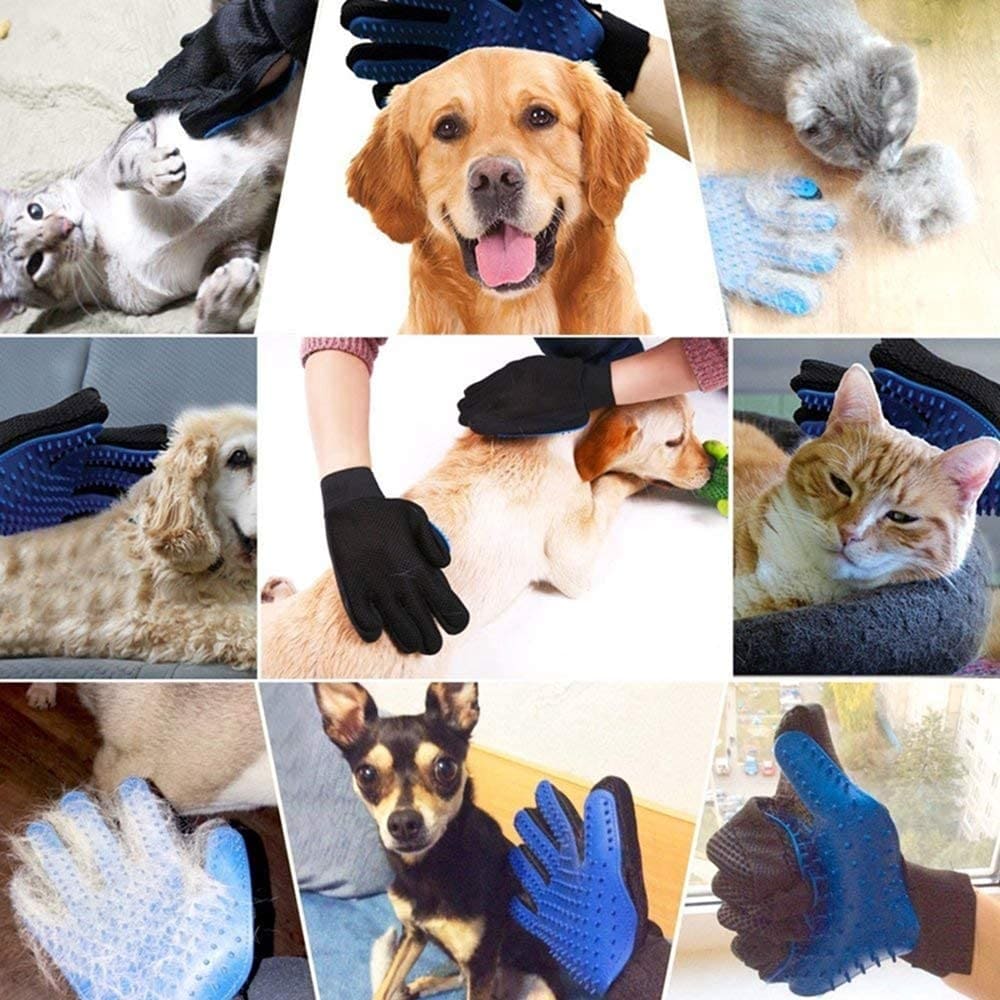 Dm Prime Fenix Loja de produtos para gato e cachorro - Luva Removedora De Pelos Para Pets - Azul - Mão Esquerda - Luva Removedora De Pelos Para Pets