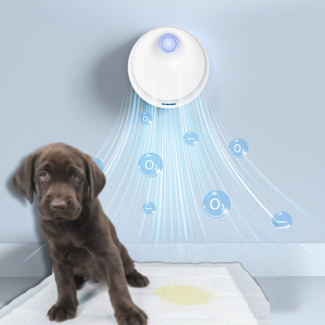 Dm Prime Fenix Loja de produtos para gato e cachorro - Neutralizador De Odores Seguro Para Uso Em Ambientes Com Pets - Tira Cheiro Pet Neutralizador de Odores