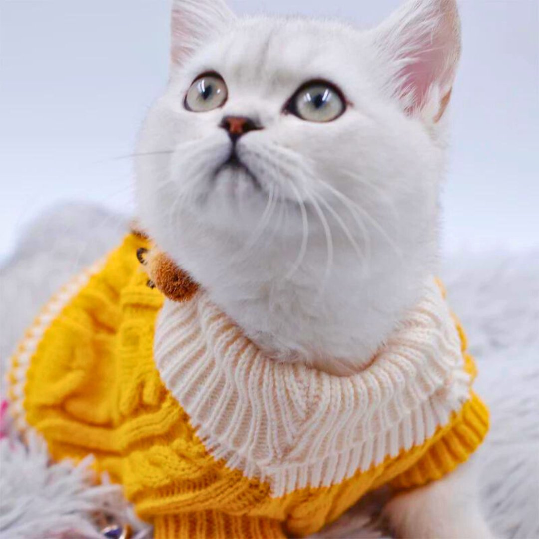 Dm Prime Fenix Loja de produtos para gato e cachorro - Roupinha de cachorro de tricô - Amarelo - PP - Fashion Tricot Para Cachorro e Gato