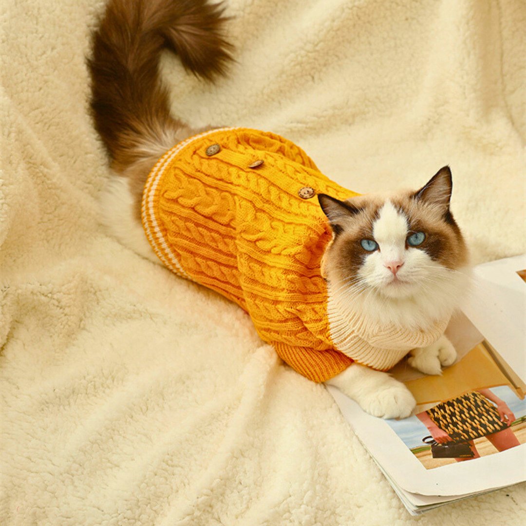 Dm Prime Fenix Loja de produtos para gato e cachorro - Roupinha de cachorro de tricô - Amarelo - PP - Fashion Tricot Para Cachorro e Gato