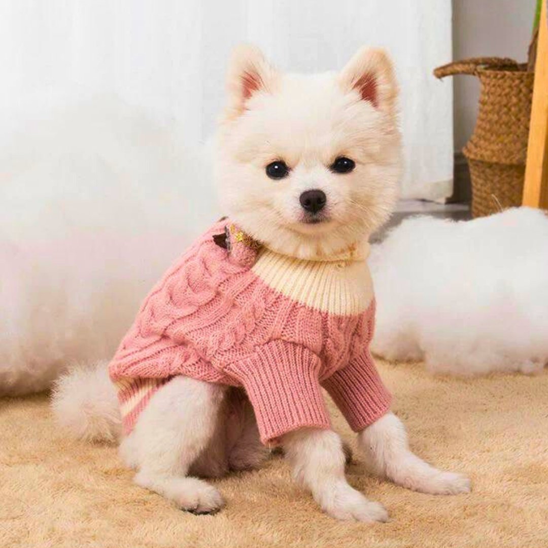Dm Prime Fenix Loja de produtos para gato e cachorro - Roupinha de cachorro de tricô - Amarelo - PP - Fashion Tricot Para Cachorro e Gato