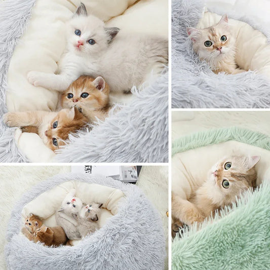 Dm Prime Fenix Loja de produtos para gato e cachorro - Cama Concha Para gatos Com Cobertura - com gatinhos 50x50CM 