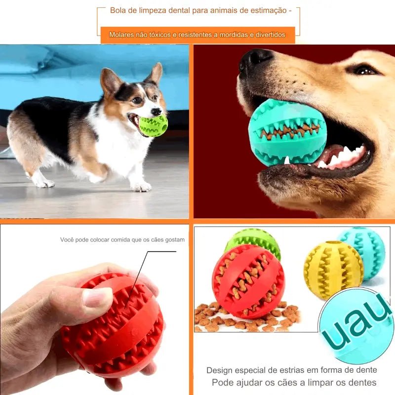 Dm Prime Fenix Loja de produtos para gato e cachorro - Bola Para Gatos Que Estimula O Instinto De Caça - Azul - 5 Cm - Bola para gatos que estimula o instinto de caça2