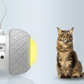 Dm Prime Fenix Loja de produtos para gato e cachorro - Brinquedo Eletrônico Automático Para Gatos Que Imita Caça - Brinquedo eletrônico automático para gatos que imita caça