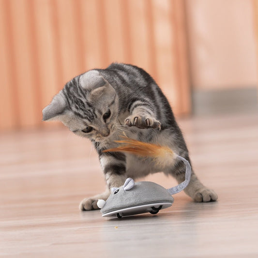 Dm Prime Fenix Loja de produtos para gato e cachorro - Brinquedo Para Gatos Em Formato De Rato - Brinquedo para gatos em formato de rato que promove atividade física