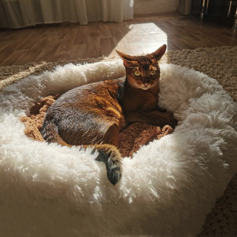 Dm Prime Fenix Loja de produtos para gato e cachorro - Cama Nuvem Veludo para Pets - Branco - 60CM - Cama Nuvem Veludo para Pets