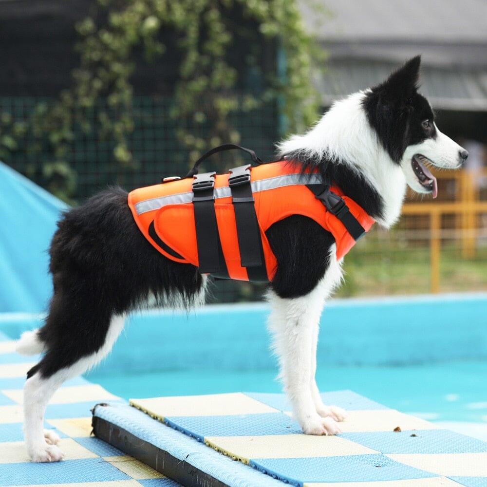 Dm Prime Fenix Loja de produtos para gato e cachorro - Colete Salva - Vidas Para Cachorro - XS - Vermelho - Colete Salva - Vidas Para Cachorro