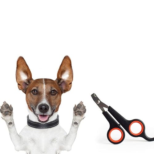 Dm Prime Fenix Loja de produtos para gato e cachorro - Cortador De Unha Para Pets De Pequeno Porte - Branco e Preto - Cortador de unha para pets de pequeno porte