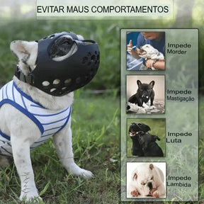 Dm Prime Fenix Loja de produtos para gato e cachorro - Focinheira Para Cães Ansiosos Em Visitas Ao Veterinário - Cinza - P - Focinheira Para Cães Ansiosos Em Visitas Ao Veterinário