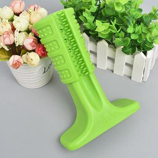 Dm Prime Fenix Loja de produtos para gato e cachorro - Mordedor e Escova de dentes para Pets - Verde - P - Mordedor e Escova de dentes para Pets