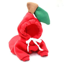 Dm Prime Fenix Loja de produtos para gato e cachorro - Roupas de pets com tema de bichinhos e frutas - Vermelho - M - Roupas de pets com tema de bichinhos e frutas