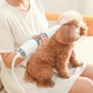 Dm Prime Fenix Loja de produtos para gato e cachorro - Secador Portátil 3 Em 1 Para Pets Com Motor Silencioso - Rosa - Secador Para Pet Silencioso 3 em 1